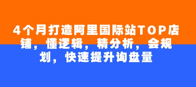 4个月打造阿里国际站TOP店铺，懂逻辑，精分析，会规划，快速提升询盘量-随风资源网