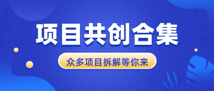 项目共创合集，从0-1全过程拆解，让你迅速找到适合自已的项目-随风资源网