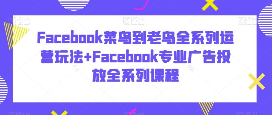 Facebook菜鸟到老鸟全系列运营玩法+Facebook专业广告投放全系列课程-随风资源网