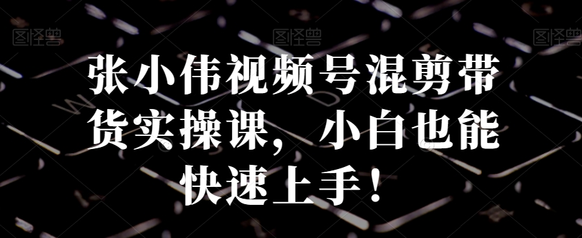 张小伟视频号混剪带货实操课，小白也能快速上手！-随风资源网