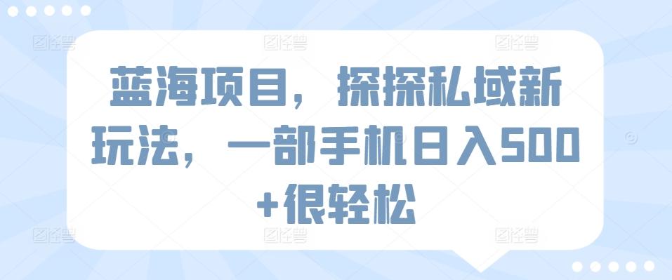 蓝海项目，探探私域新玩法，一部手机日入500+很轻松【揭秘】-随风资源网
