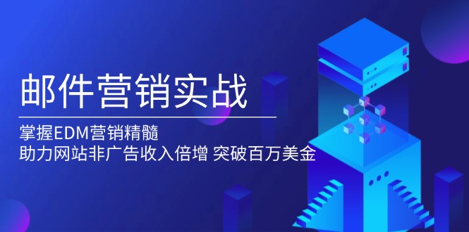 邮件营销实战，掌握EDM营销精髓，助力网站非广告收入倍增，突破百万美金-随风资源网
