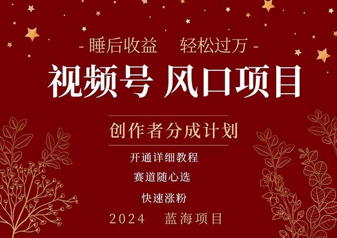 拥有睡眠收益的微信视频号大风口项目，轻松月入过万+，多赛道选择，可…-随风资源网