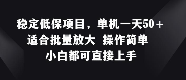 稳定低保项目，单机一天50+适合批量放大 操作简单 小白都可直接上手【揭秘】-随风资源网