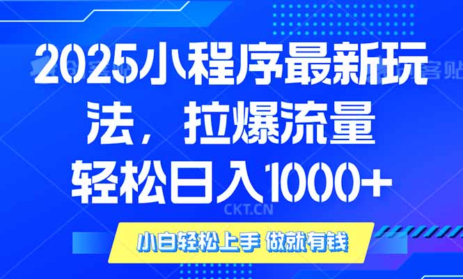 2025年小程序最新玩法，流量直接拉爆，单日稳定变现1000+-随风资源网