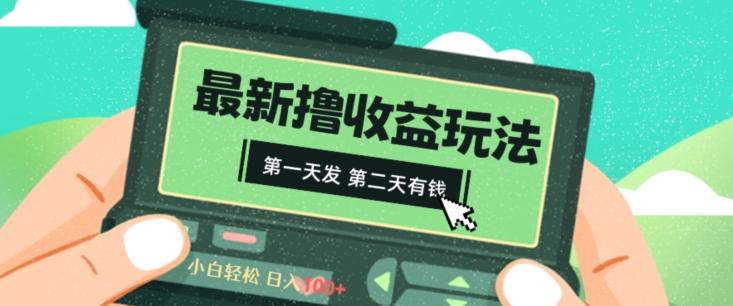 2024最新撸视频收益玩法，第一天发，第二天就有钱-随风资源网