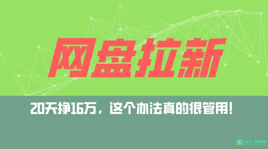 网盘拉新+私域全自动玩法，0粉起号，小白可做，当天见收益，已测单日破5000-随风资源网