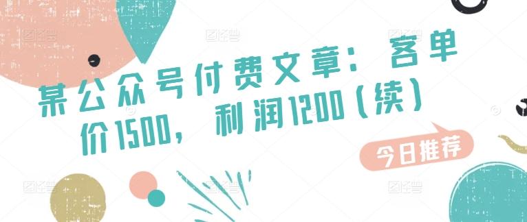 某公众号付费文章：客单价1500，利润1200(续)，市场几乎可以说是空白的-随风资源网