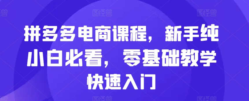 拼多多电商课程，新手纯小白必看，零基础教学快速入门-随风资源网