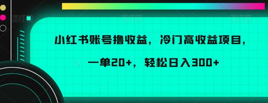 小红书账号撸收益，冷门高收益项目，一单20+，轻松日入300+【揭秘】-随风资源网