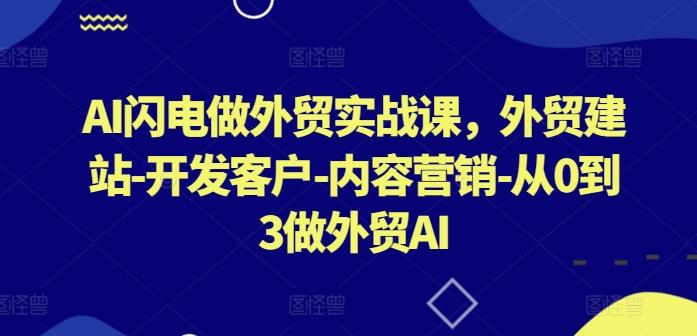 AI闪电做外贸实战课，​外贸建站-开发客户-内容营销-从0到3做外贸AI-随风资源网