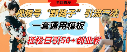 视频号“野路子”玩法，评论区疯狂截流，一套模板单日单号引流50+创业粉-随风资源网