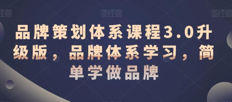品牌策划体系课程3.0升级版，品牌体系学习，简单学做品牌-随风资源网