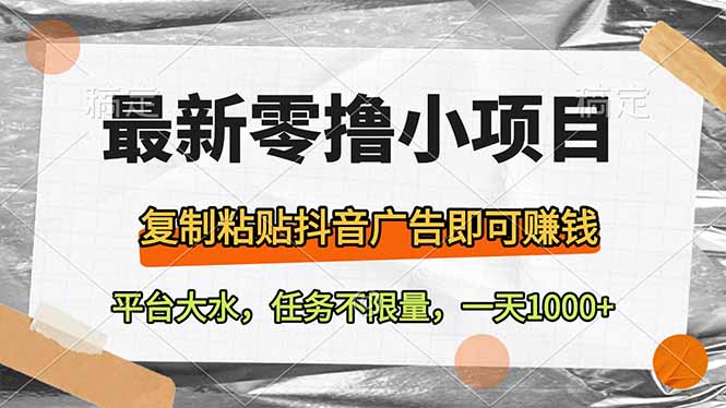 最新零撸小项目，复制粘贴抖音广告即可赚钱，平台大水，任务不限量，一…-随风资源网