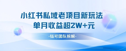 小红书私域项目新玩法，单月变现过W+-随风资源网