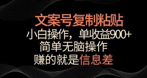 文案号掘金，简单复制粘贴，小白操作，单作品收益900+【揭秘】-随风资源网