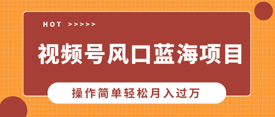 视频号风口蓝海项目，中老年人的流量密码，操作简单轻松月入过万-随风资源网
