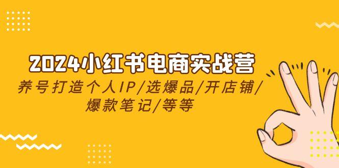 2024小红书电商实战营，养号打造IP/选爆品/开店铺/爆款笔记/等等(24节)-随风资源网