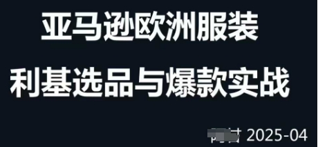 跨境电商选品案例24-25年，聚焦跨境电商选品策略与运营优化，助力卖家挖掘蓝海市场-随风资源网