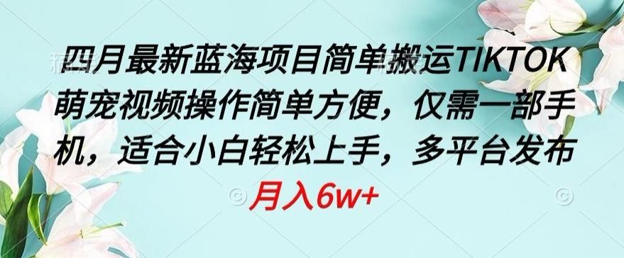 四月最新蓝海项目，简单搬运TIKTOK萌宠视频，操作简单方便，仅需一部手机【揭秘】-随风资源网