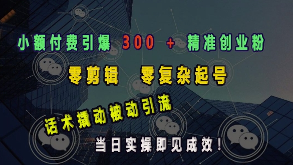 小额付费引爆 300 + 精准创业粉，零剪辑、零复杂起号，话术撬动被动引流，当日实操即见成效-随风资源网