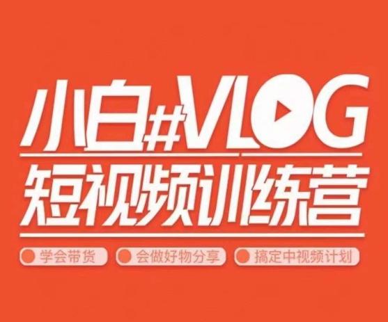 小呆说视–小白VLOG短视频训练营，学会带货、好物、直播、中视频-随风资源网