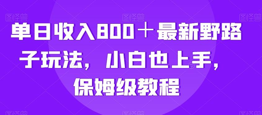 单日收入800＋最新野路子玩法，小白也上手，保姆级教程-随风资源网