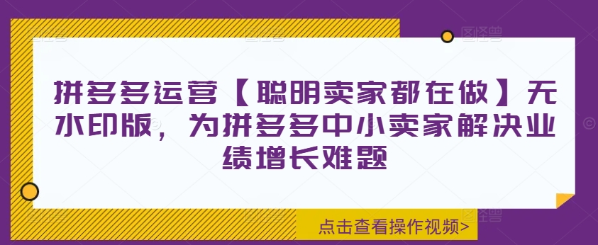 拼多多运营【聪明卖家都在做】无水印版，为拼多多中小卖家解决业绩增长难题-随风资源网