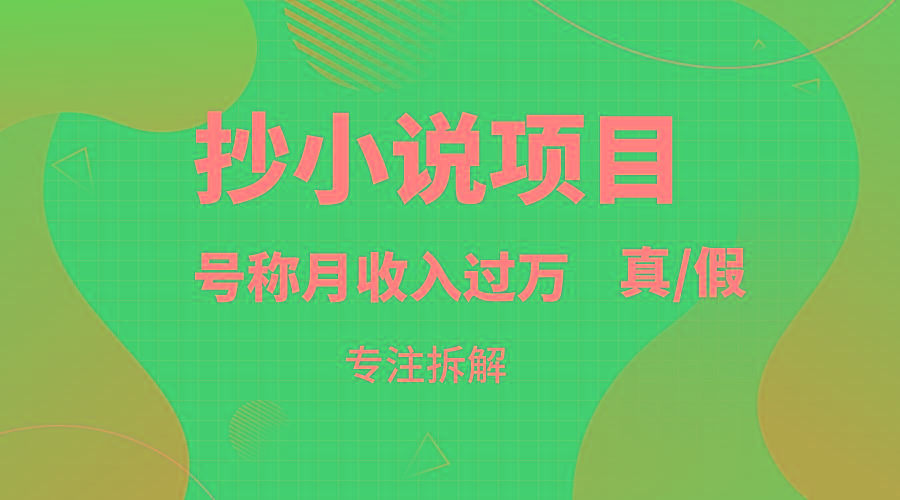 抄小说项目，号称月入过万，到底是否真实，能不能做，详细拆解-随风资源网