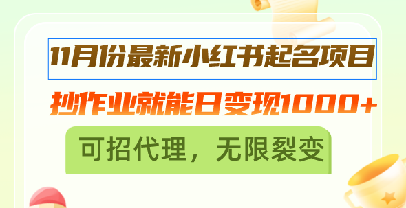 11月份最新小红书起名项目，抄作业就能日变现1000+，可招代理，无限裂变-随风资源网