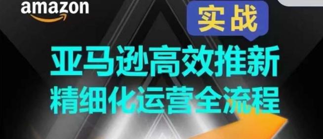 亚马逊高效推新精细化运营全流程，全方位、快速拉升产品排名和销量!-随风资源网