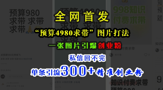 小红书“预算4980带我飞”图片打法，一张图片引爆创业粉，私信回不完，单条引流300+精准创业粉-随风资源网