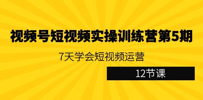 视频号短视频实操训练营第5期：7天学会短视频运营(12节课)-随风资源网