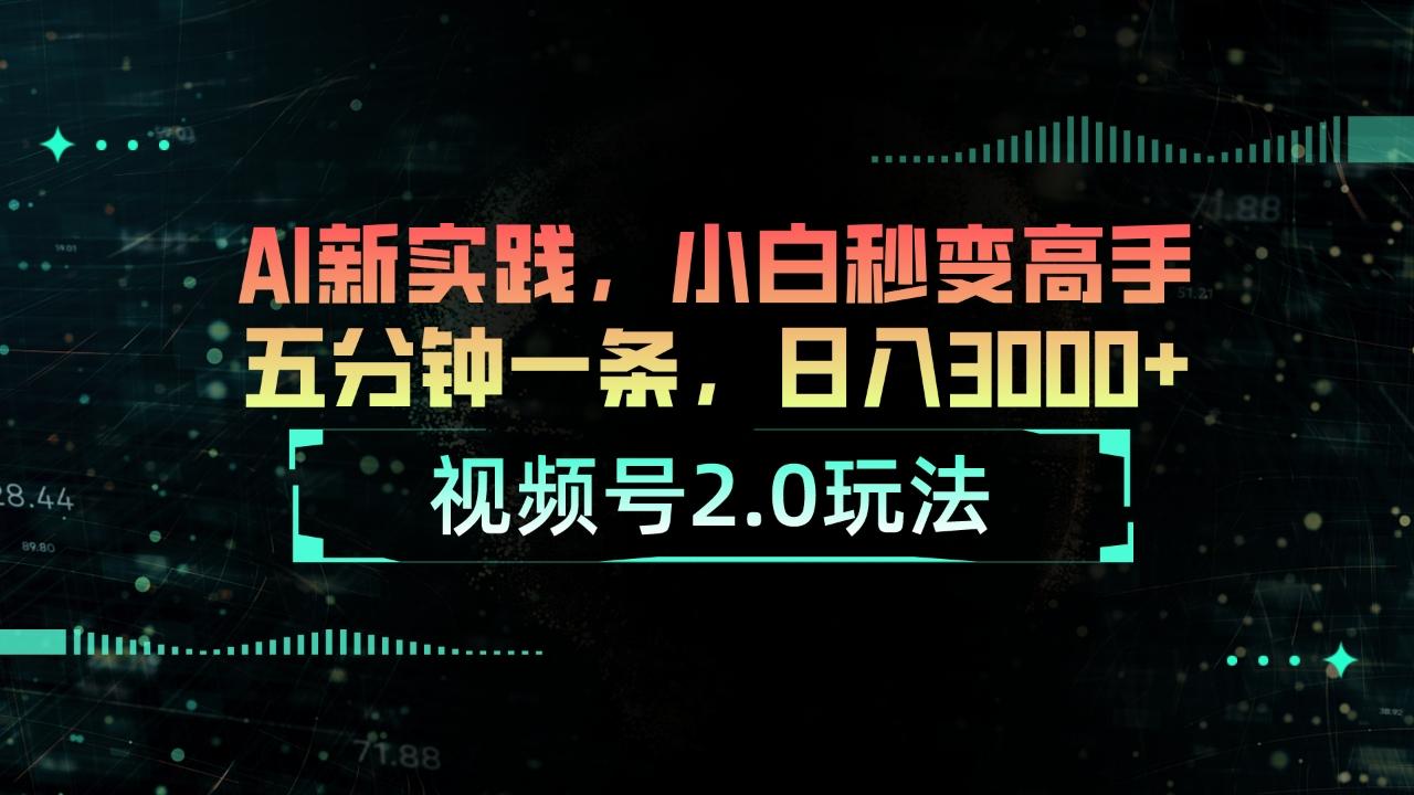 视频号2.0玩法 AI新实践，小白秒变高手五分钟一条，日入3000+-随风资源网