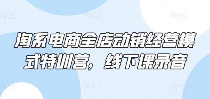 淘系电商全店动销经营模式特训营，线下课录音-随风资源网