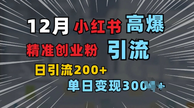 小红书一张图片“引爆”创业粉，单日+200+精准创业粉 可筛选付费意识创业粉【揭秘】-随风资源网