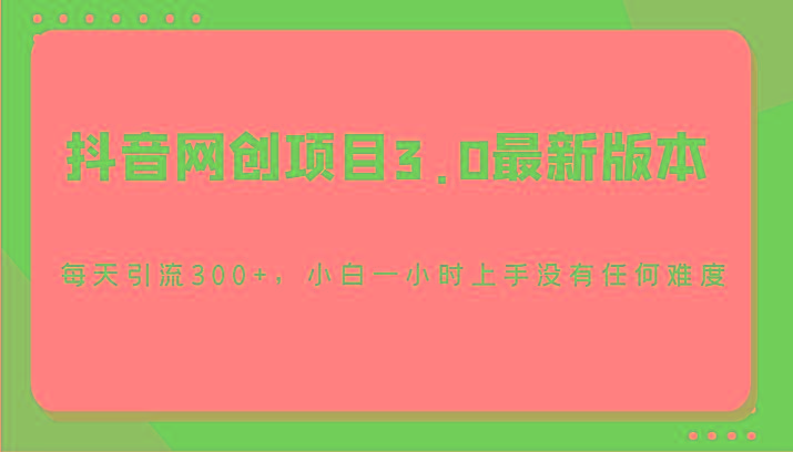 抖音网创项目3.0最新版本，每天引流300+，小白一小时上手没有任何难度-随风资源网