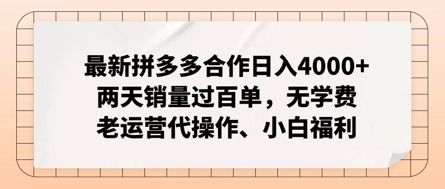 最新拼多多合作日入4000+两天销量过百单，无学费、老运营代操作、小白福利-随风资源网