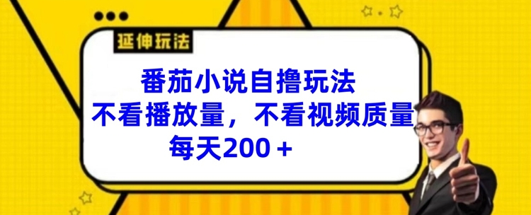 番茄小说自撸玩法，不看播放量，不看视频质量，每天200+【揭秘】-随风资源网