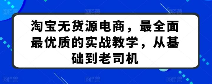 淘宝无货源电商，最全面最优质的实战教学，从基础到老司机-随风资源网