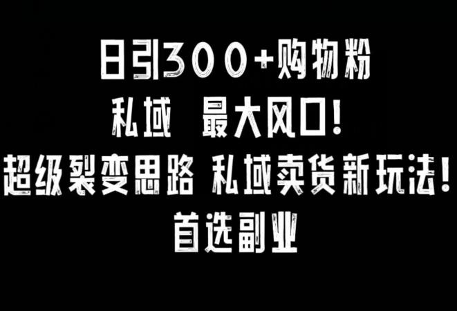 日引300+购物粉，超级裂变思路，私域卖货新玩法，小红书首选副业【揭秘】-随风资源网