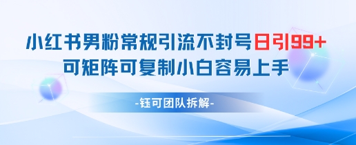 小红书男粉常规引流不封号日引99+变现简单 可矩阵可复制小白容易上手-随风资源网