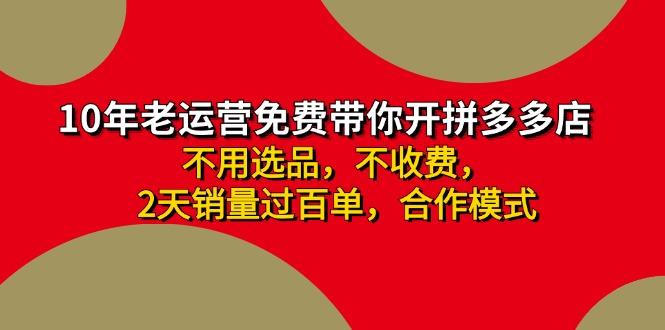 拼多多-合作开店日入4000+两天销量过百单，无学费、老运营教操作、小白…-随风资源网