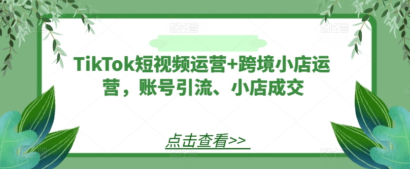 TikTok短视频运营+跨境小店运营，账号引流、小店成交-随风资源网