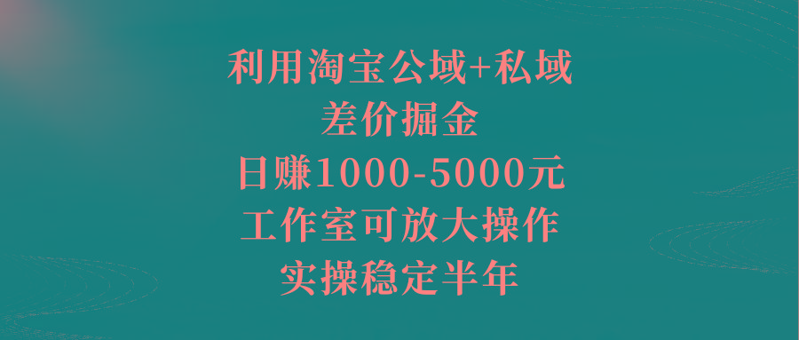利用淘宝公域+私域差价掘金，日赚1000-5000元，工作室可放大操作，实操…-随风资源网