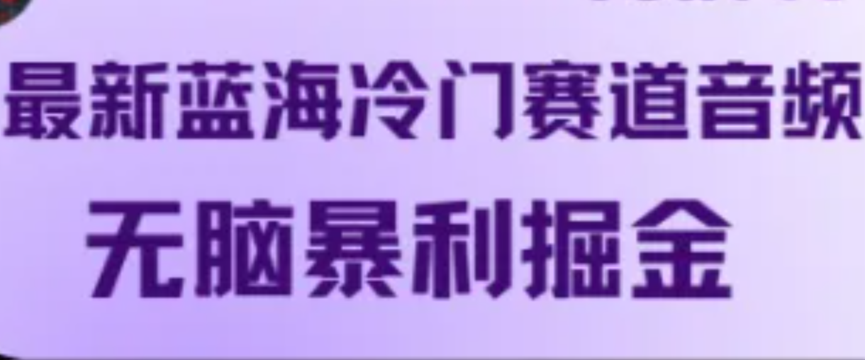 最新蓝海冷门赛道音频，无脑暴利掘金-随风资源网