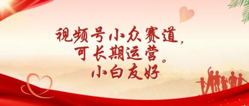 视频号小众赛道，可长期运营，小白友好【揭秘】-随风资源网
