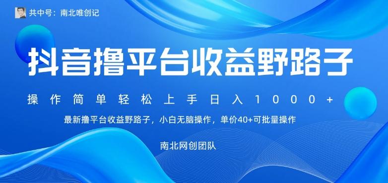 最新撸抖音平台收益野路子，操作简单，单价高，小白可无脑操作可日入1000+-随风资源网