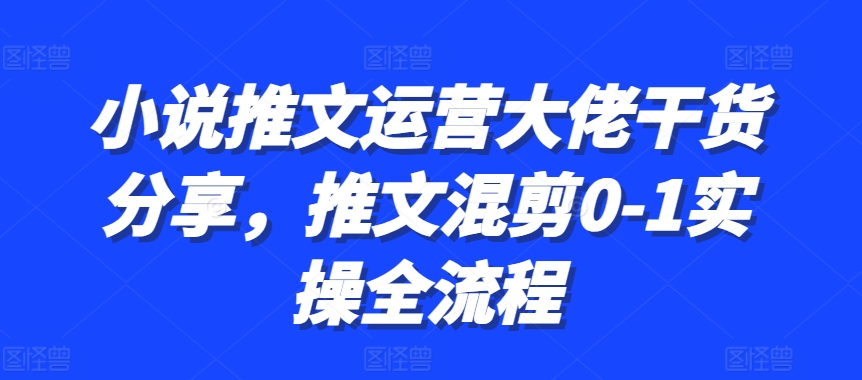 小说推文运营大佬干货分享，推文混剪0-1实操全流程-随风资源网