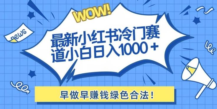 最新小红书冷门赛道日入1000+一部手机小白轻松-随风资源网